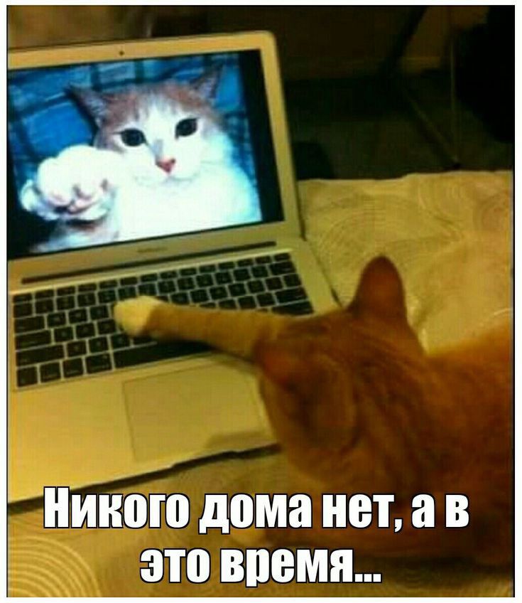 і гіі ИППП дома нет а В это ВПЕМП