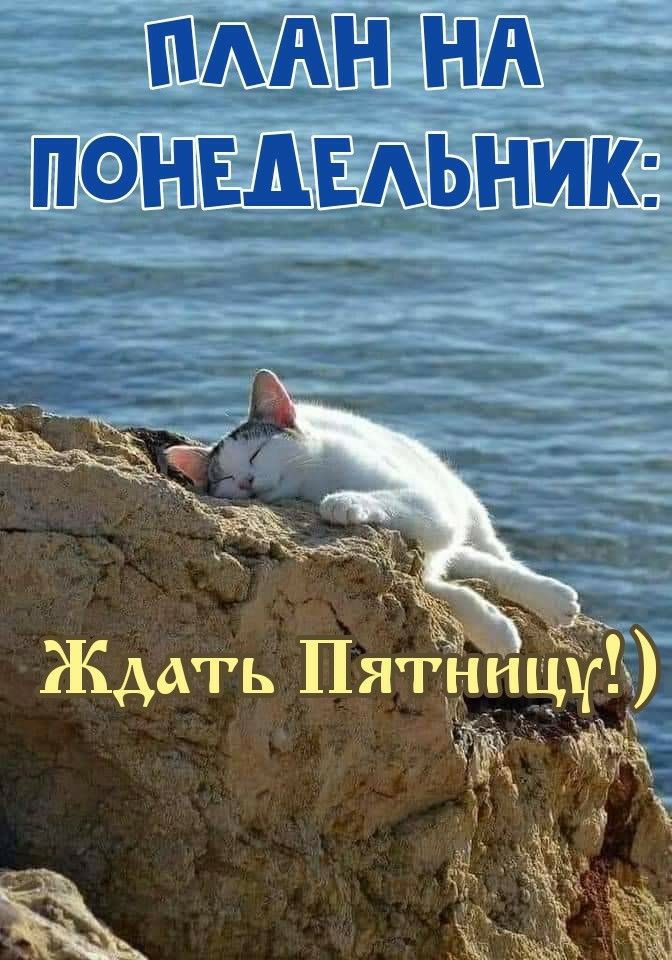 Ждать Пятуицух А