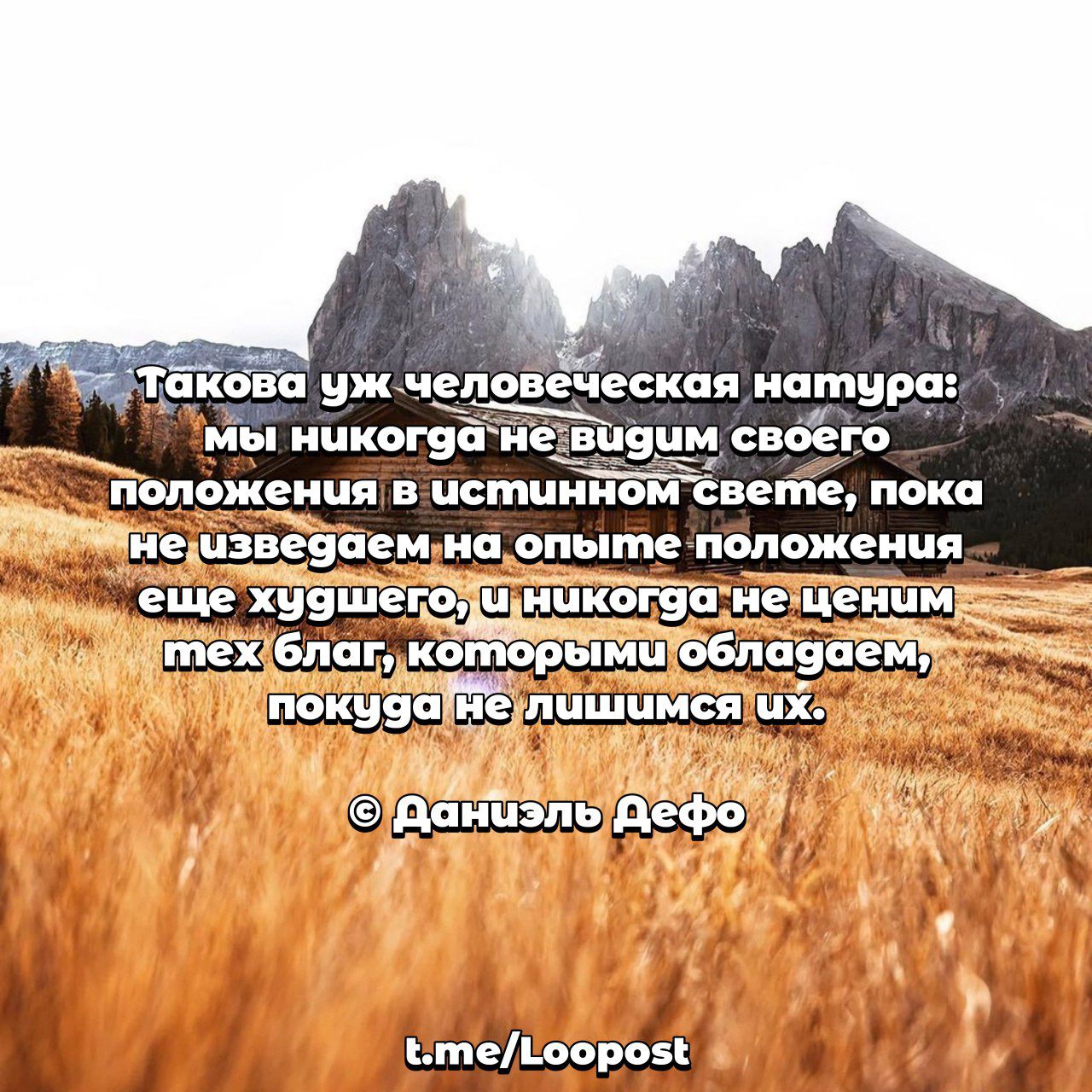 ШШ 6п6г контор _деФ А а 1138