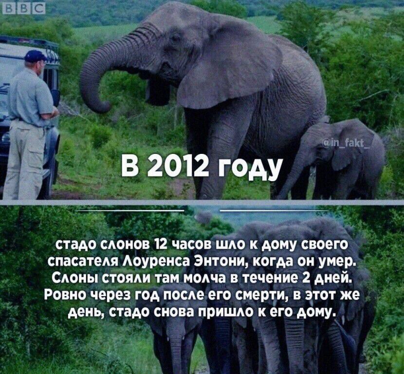 _ тш моим 12 часа Що к дому поет спасаем Аоурвис Энтони когда он умер Сдоиы стомы таи ноша течение 2 дней Ровно через год песда его спорт эры же миь пам сноп пришло к его дану