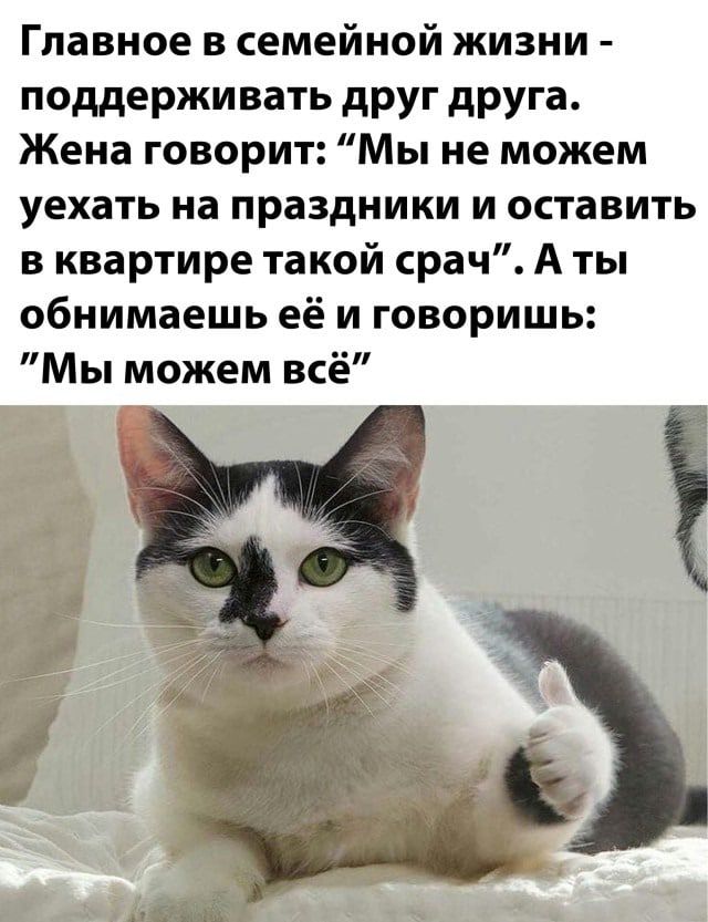 Главное в семейной жизни поддержи вать друг друга Жена говорит Мы не можем уехать на праздники и оставить в квартире такой срач А ты обнимаешь её и говоришь Мы можем всё
