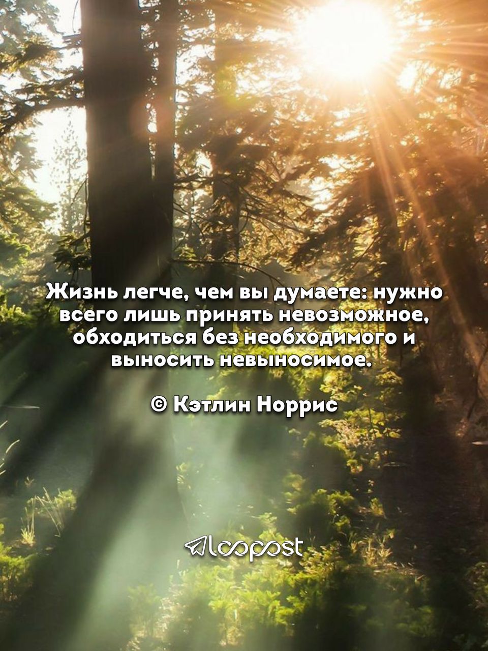изиь легче чем им дунай нужно всего лишь принять не 1 ікиое обходиться без иеоб Йивго и выиоеигь иены имое _ КЗЁии НоррйЁ