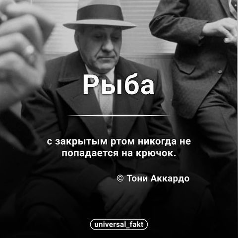 с закрытым ртом никогда не попадается на крючок Тони Аккарди