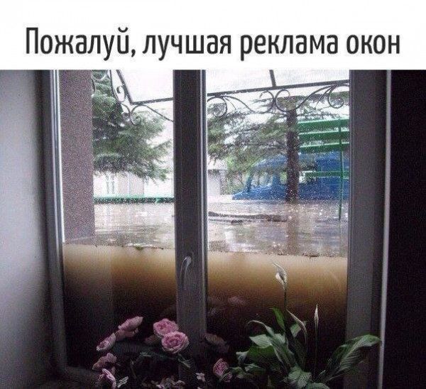 Пожалуй лучшая реклама окон