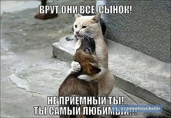 ШНЕПРИЕМНЫЙ Е ТЕелМЫЙЛЮ