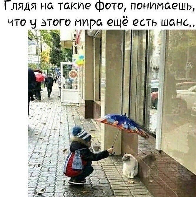 Глядя на такие фото понимаешь что у этого пира ещё есть шанс 5