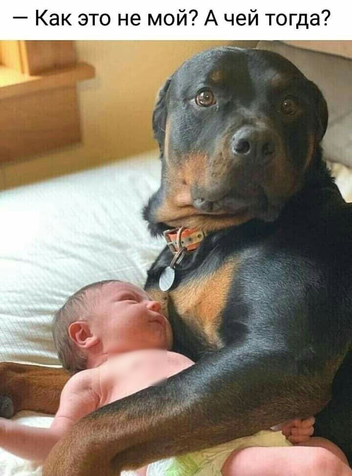 Как это не мой А чей тогда