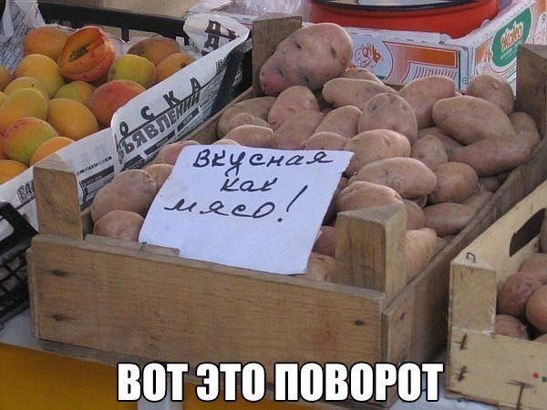 ВШ ЗП 030