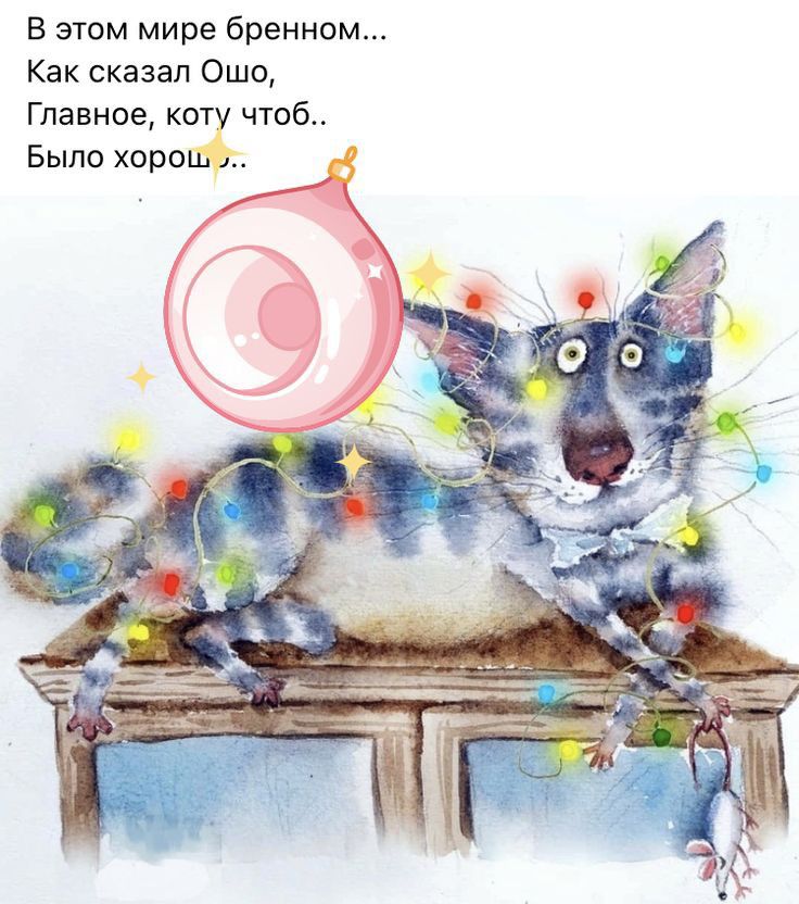 В этом мире бренном Как сказал Ошо Главное кот чтоб Было хоршіё