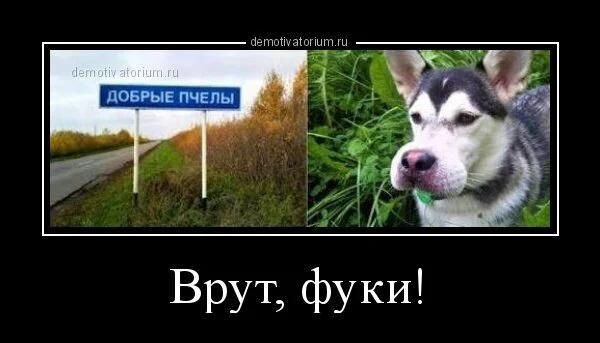 Брут фуки