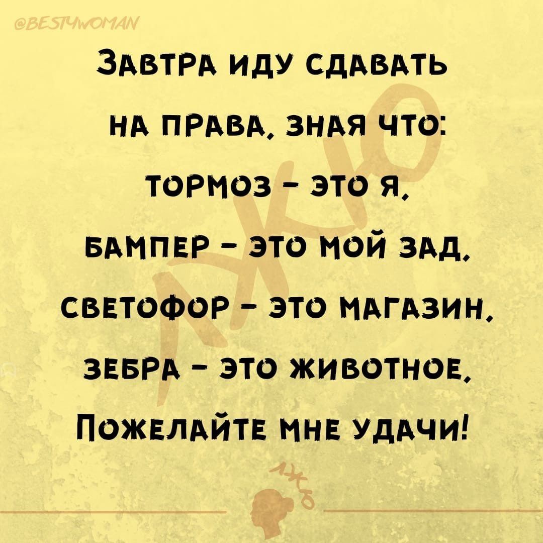 ЗАВТРА ИдУ СдАВАТЬ НА прива ЗНАЯ что тормоз это я вмпвр это мой ЗАд СВЕТОФОР это мдгдзин звврд это животное Пожвлдйт мн УДАЧИ