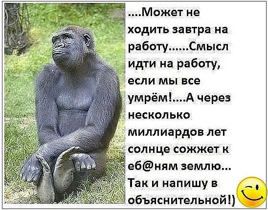 если мы все умрёмА через несколько миллиардов лет солнце сожжет к ебням землю Таки напишув 5 3 объяснительной