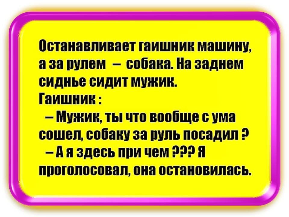 пшпипвпивавт тишиии машину а за штвм сайта На нацизм пидиье видит мшиии Гаишник Мужик ты чтп ваабще ума вошел папину за пуль нивадип А и здесь иви чем п ппошппспнап пив встаипвипавь