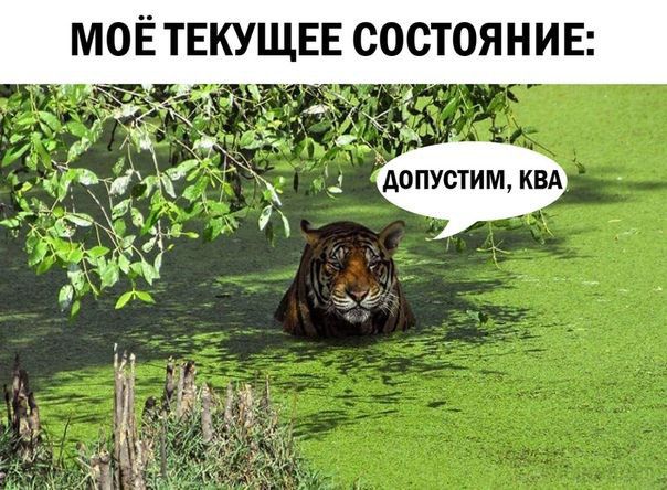 МОЁТЕКУЩЕЕ СОСТОЯНИЕ допустим км д