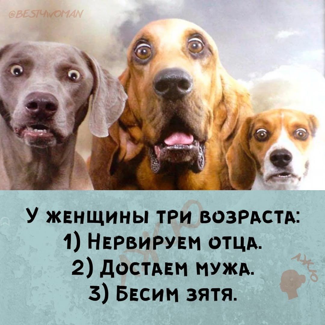 У жвнщины три возраст 1 Нврвирувм отцд 2 достдни мужи 3 Бвсин зятя