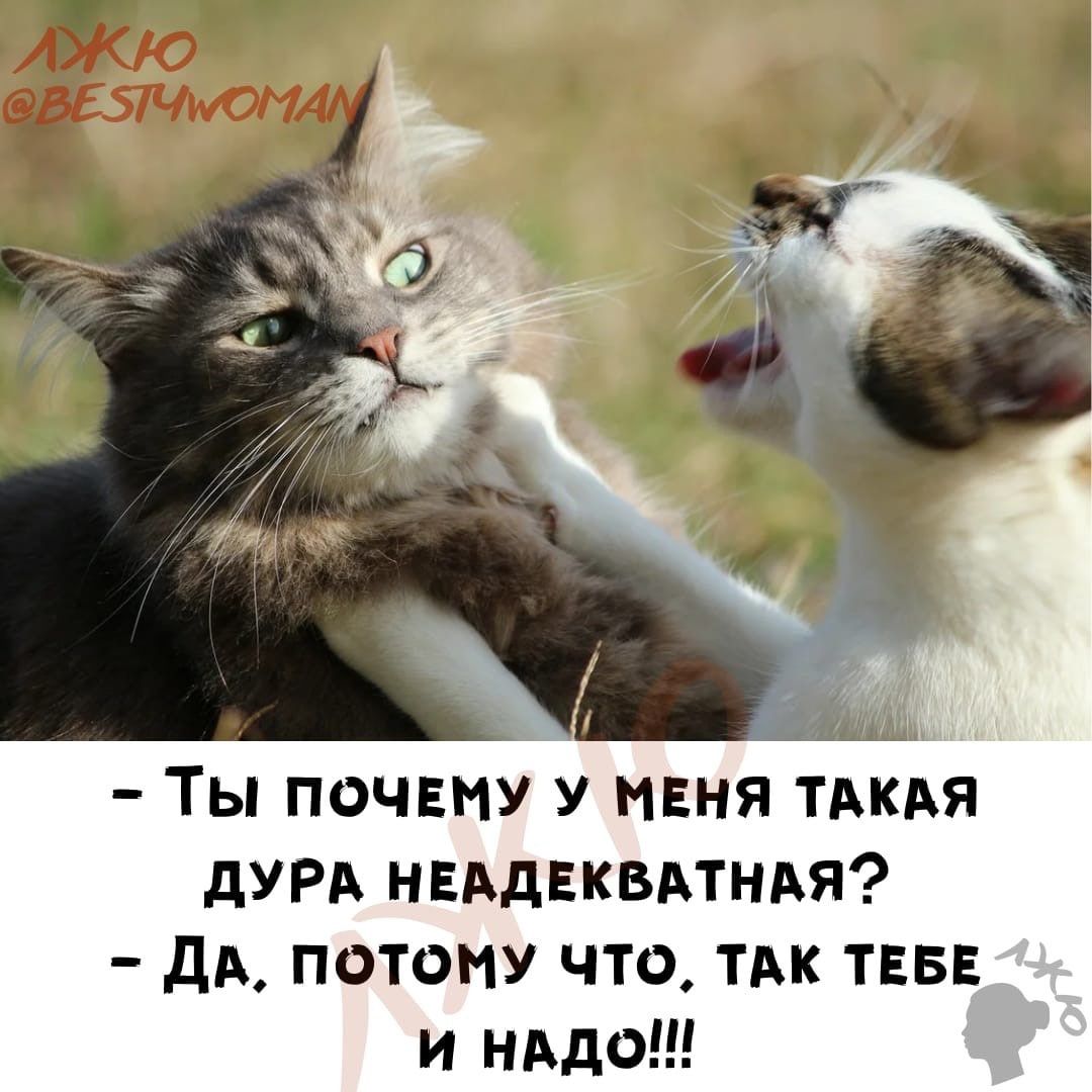 Почему я такая дура