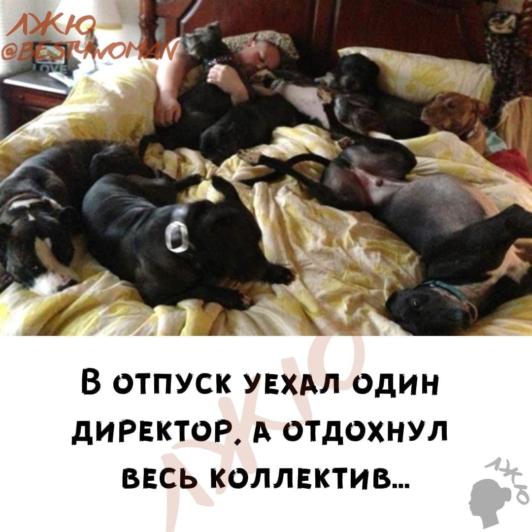 В отпуск увхдл один дИРЕКТ0Р А отдохнул весь коллвктив
