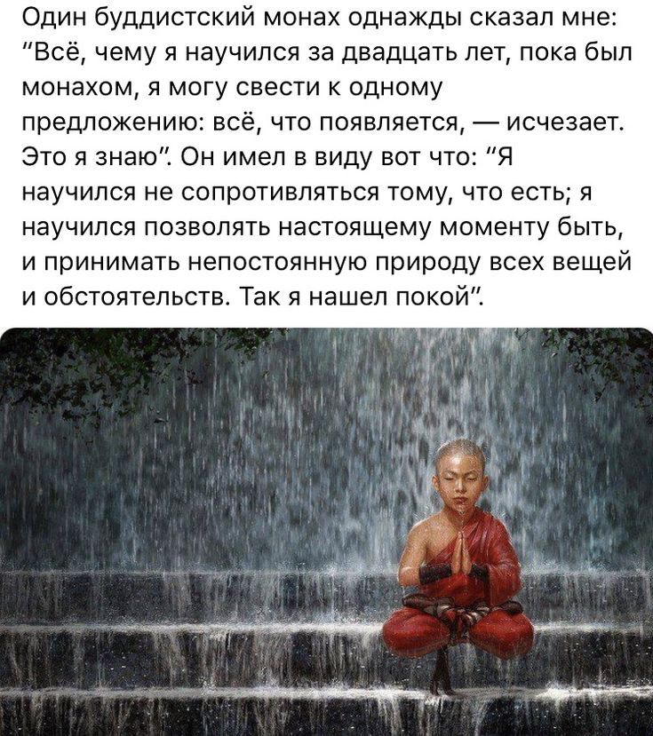 Один буддистский монах однажды сказал мне Всё чему я научился за двадцать лет пока был монахом могу свести к одному предложению вс что появляется исчезает Это я знаю Он имел в виду вот что я научился не сопротивляться тому что есть я научился позволять настоящему моменту быть и принимать непостоянную природу всех вещей и обстоятельств Так я нашел покой