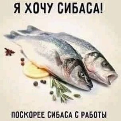 Я ХОЧУ БИБАСА ППБКПРЕЕ БИБАБА 0 РАБОТЫ