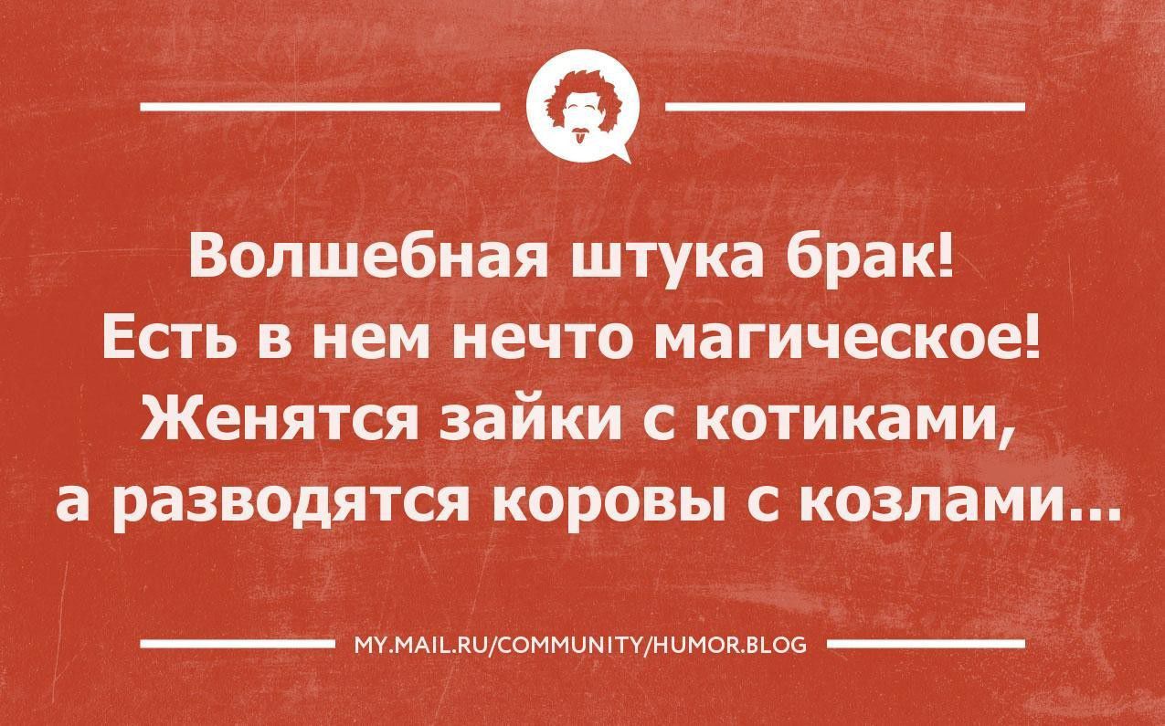 Волшебная штука брак Есть в нем нечто магическое Жеиятся ЗЗЙКИ С КОТИКЗМИ а РЗЗВОДЯТСЯ коровы С козлами иикаммимтнчмы мы