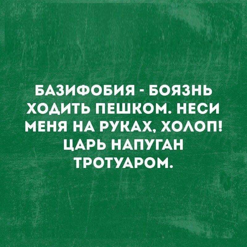 БАЗИФОБИЯ БОЯЗНЬ ХОАИТЬ ПЕШКОМ НЕСИ МЕНЯ НА РУКАХ ХОАОП ЦАРЬ НАПУГАН ТРОТУАРОМ