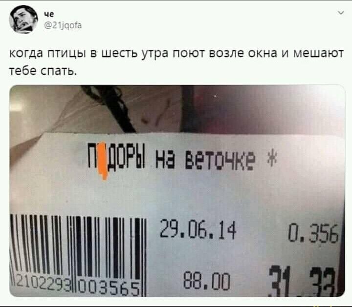 когда птиц в шесть утра поют возле окна и мешают тебе спать іу 2905 14 Юл