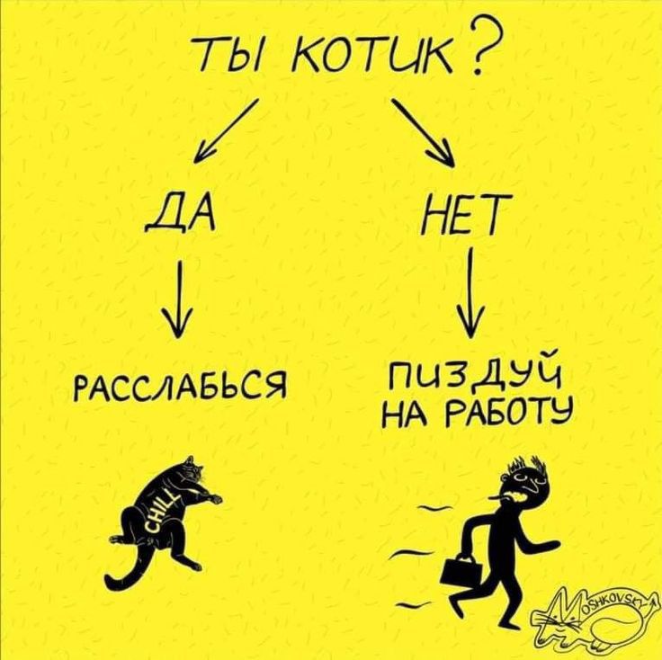 тітё М и шиизм