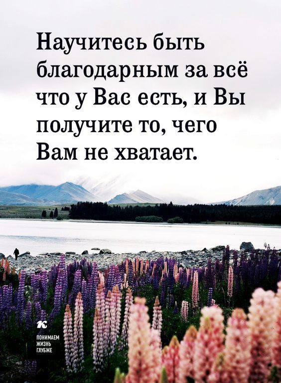 Научитесь быть благодарным за всё что у Вас есть и Вы получите то чего Вам не хватает