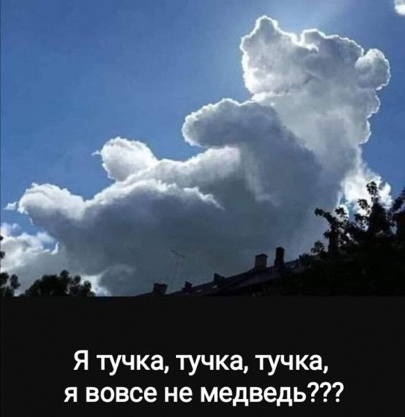 Я тучка тучка тучка я вовсе не медведь