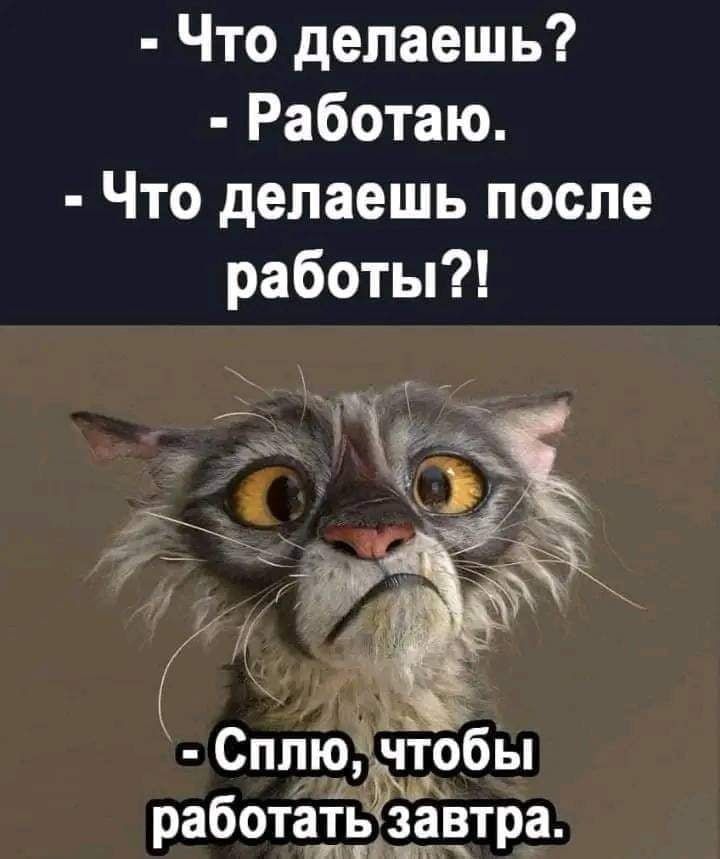 Что делаешь Работаю Что делаешь после работы Ъ ё Сллюёчтобы работать _завтра мп