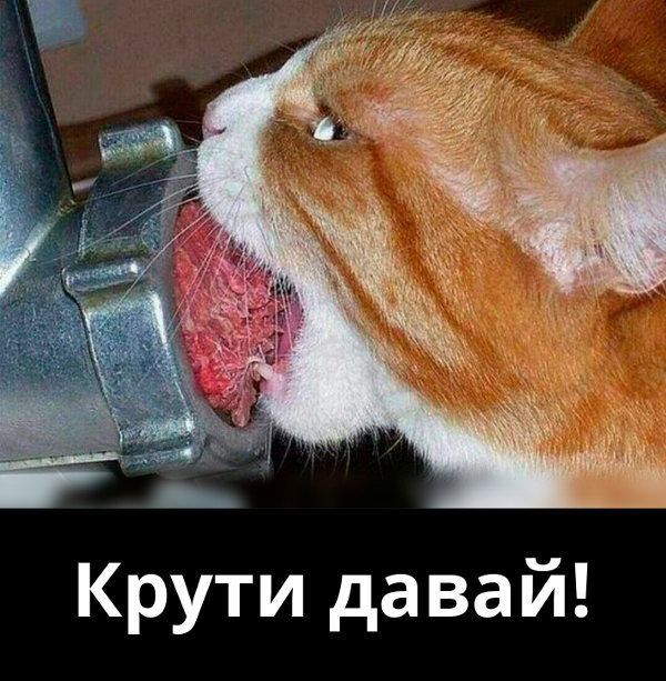 Крути давай