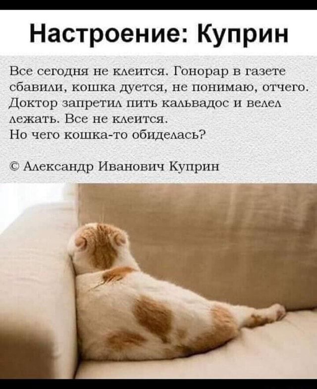 _ Настроение Куприн Все сегодня не ментол Г онорвр в газете сбавшхи кошка ищется не понимаю отчего Доктор запрет пить кальвадос и ведет Авжать Все не клеится Но чего кошка то обидедась Александр Иванович Куприн