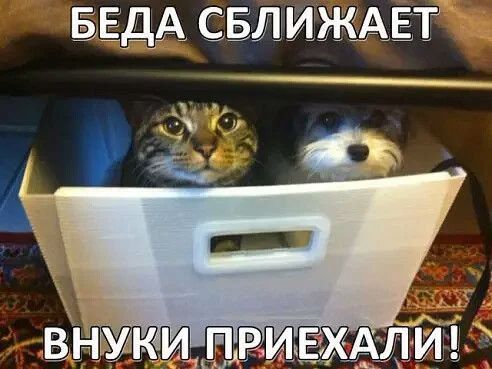БЕДА СБЛИЖАЕТ