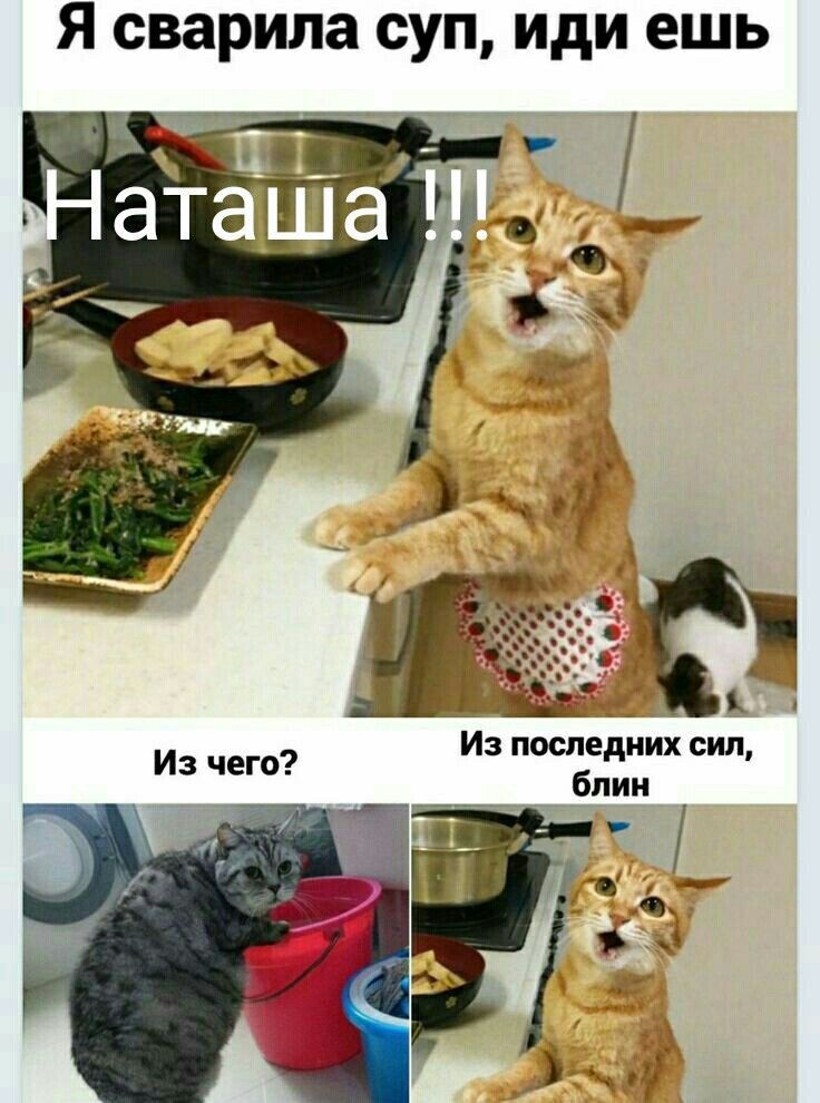 Я сварила суп иди ешь Из посмдиих сип бпии