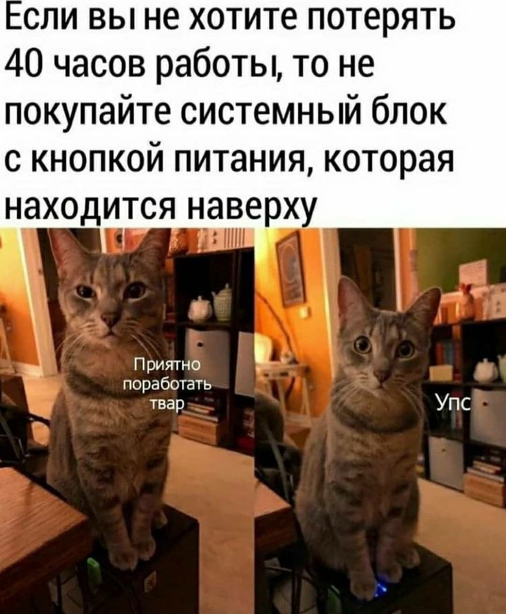 сли вы не хотите потерять 40 часов работы то не покупайте системный блок с кнопкой питания которая находится наверх _ п ритно нащеот шар Упс