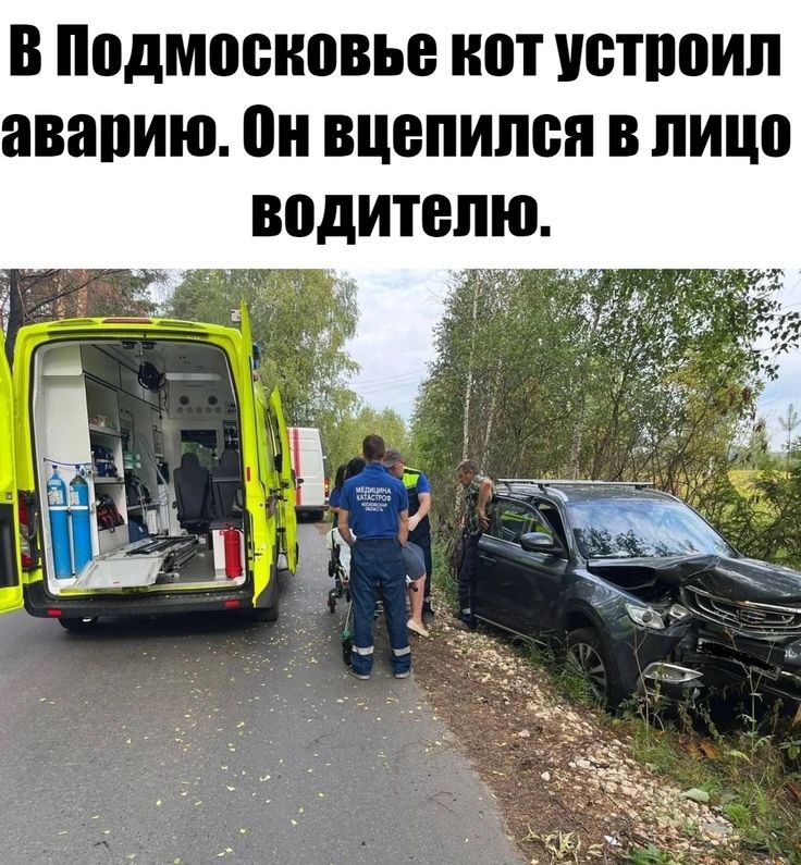 в ПВДМЩНЮВЫ ШП ШБПЮИЛ авапию он вцепился В НИШ водитепю
