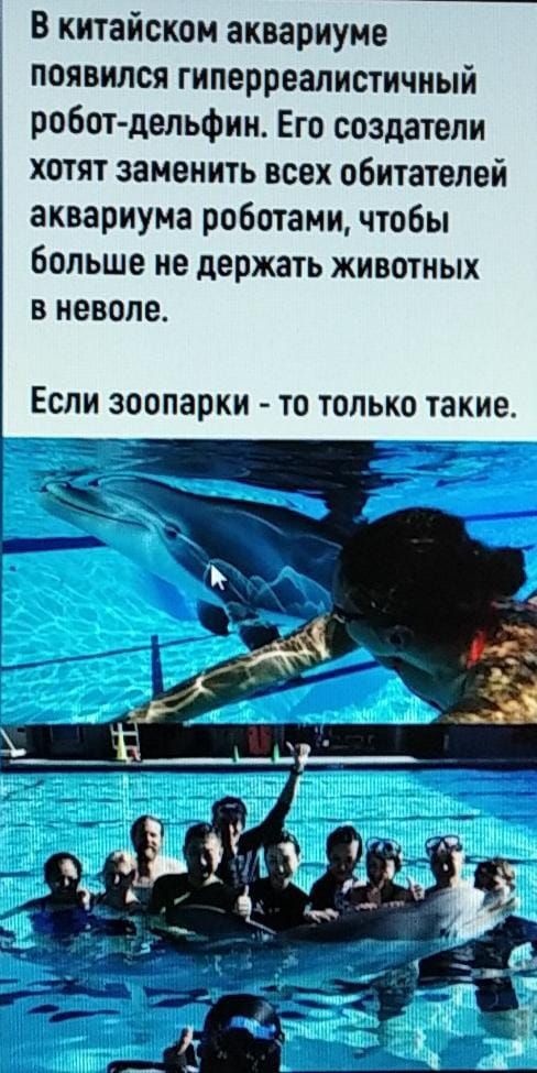В китайском аквариуме появился гиперреалистичиый робот дельфин Его создатели хотят заменить всех обитателей аквариума роботами чтобы больше не держать животных в неволе ЕСЛИ ЗООПЗРКИ ТО ТОЛЬКО такие