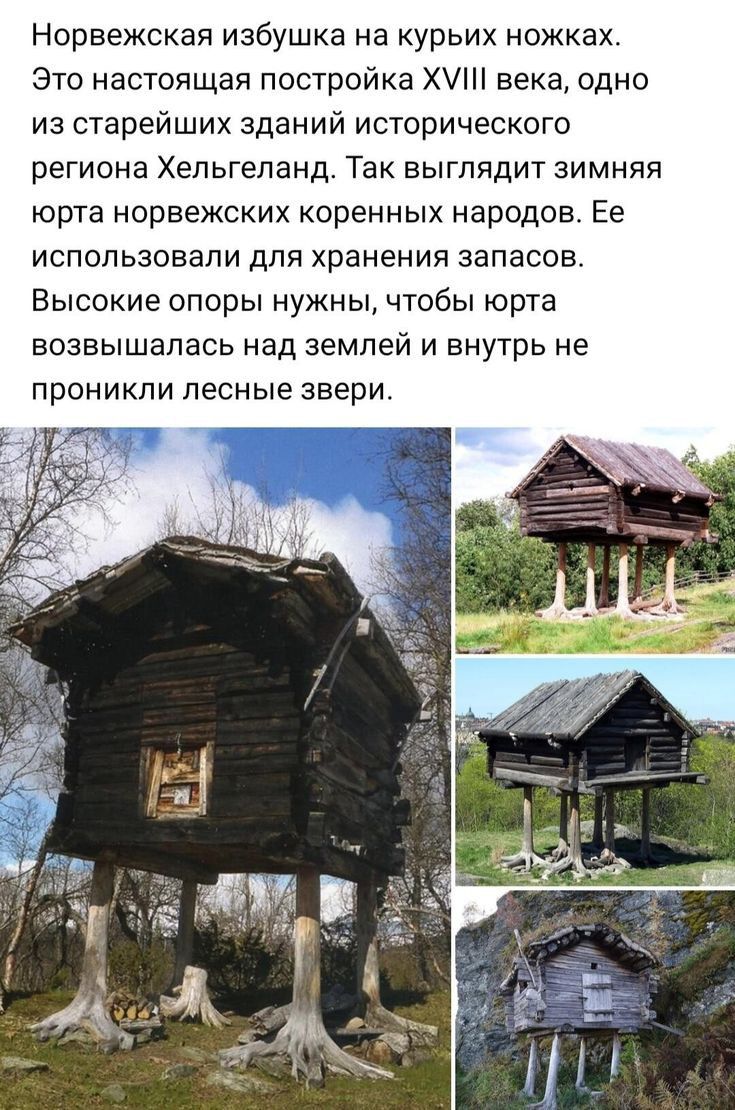Норвежская избушка на курьих ножках это настоящая постройка Х века одно из старейших зданий исторического РЕГИОНЕ Хепьгепанд ТЗК ВЫГПЯДИТ ЗИМНЯЯ юрта норвежских коренных народов Ее ИСПОЛЬЗОЕЭПИ дЛЯ хранения ЗЭПЗСОЕ Высокие опоры нужны чтобы юрта ВОЗВЫШЗПЗСЬ над землей И внутрь не ПРОНИКПИ ЛЕСНЫЕ звери