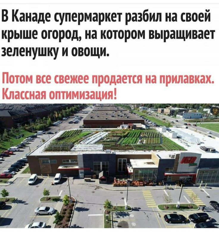 В Канаде супермаркет разбил на своей крыше огород на котором выращивает зеленушку и овощи