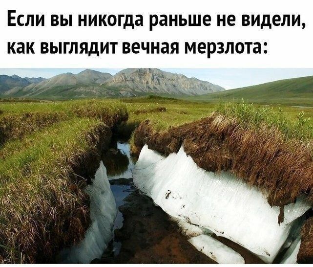 ЕСЛИ ВЫ никогда раньше не видели как ВЫГЛЯДИТ вечная мерзлота