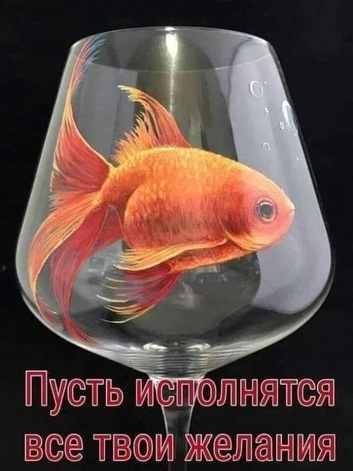 В ТГВИ ЖШП11