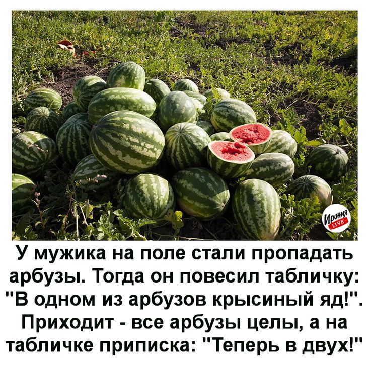 _ дх У мужика на поле стали пропадать арбузы Тогда он повесил табличку В одном из арбузов крысиный яд Приходит все арбузы целы а на табличке приписка Теперь в двух