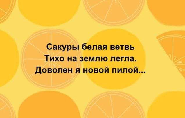 Сакуры белая ветвь Тихо на землю легла доволен я новой пилой
