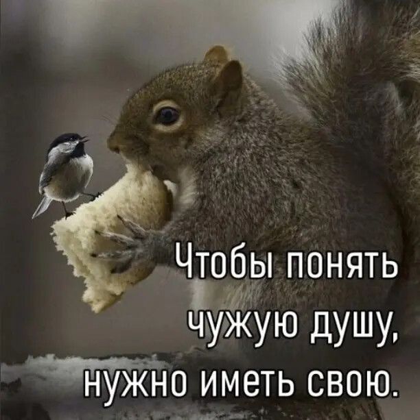 Чтобы понять ЧУЖУЮ душу 0 иметь свою