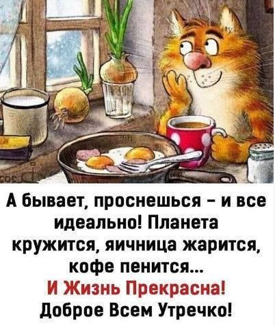 А Бывает проснешься и все идеально Планета кружится яичница жарится кофе пенится И Жизнь Прекрасна доброе Всем Утречко
