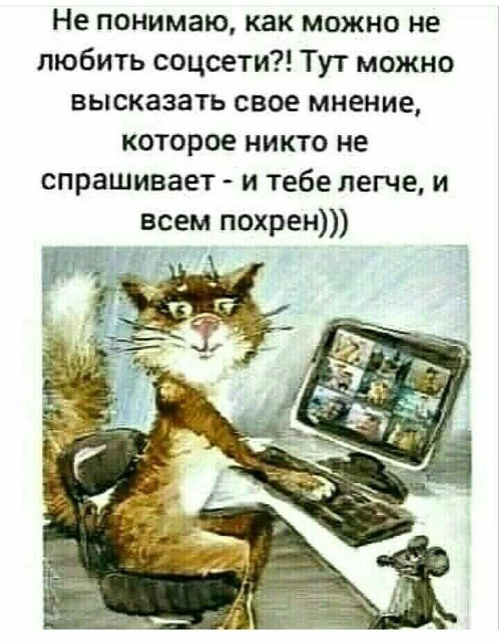 Не понимаю как можно не любить соцсети Тут можно высказать свое мнение которое никто не спрашивает и тебе легче и всем похрен