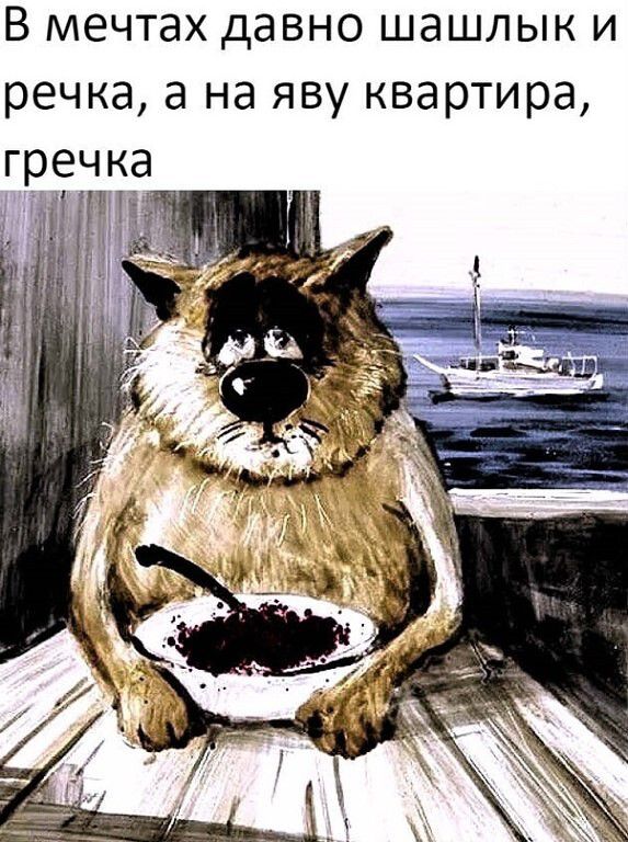 В мечтах давно шашлык и речка а на яву квартира гречка_
