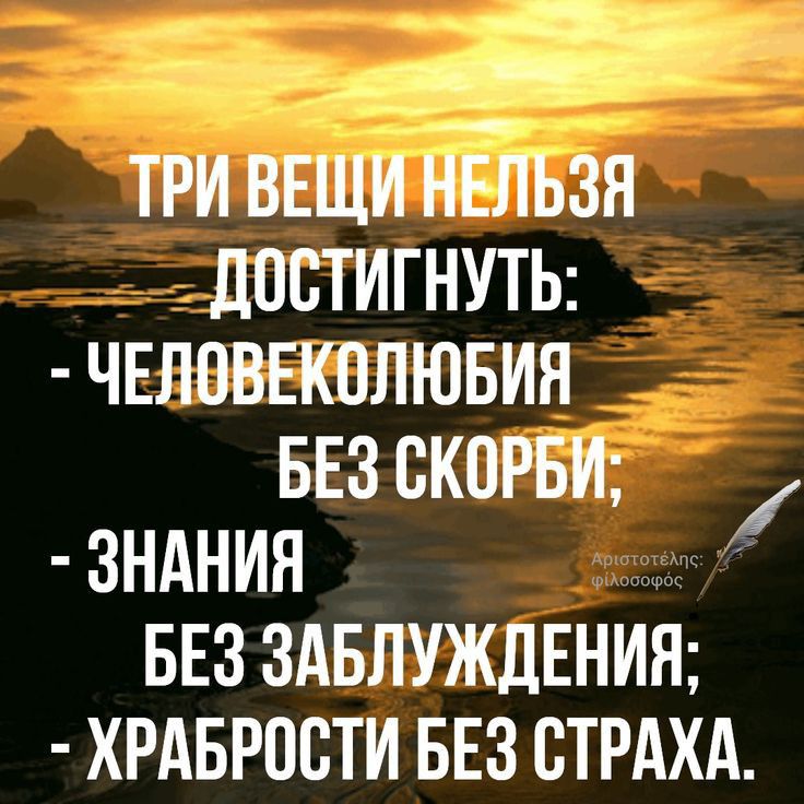 ТРИ ВЕЩИ НЕЛЬЗЯ ЛОСТИГНУТЬ ЧЕЛОВЕКПЛЮБИЯ БЕЗ СКОРБИ ЗНАНИЯ БЕЗ ЗАБЛУЖДЕНИН ХРАБРОЕТИ БЕЗ СТРАХА