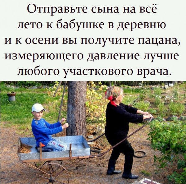 Отправьте сына на всё лето к бабушке в деревню и к осени вы получите пацана ИЗМЁРЯЮЩСГО давление лучше любого участкового врача