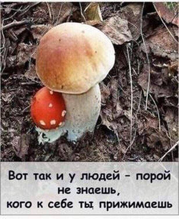 Вот так и у людей порой не знаешь кого к себе тц прижимаешь